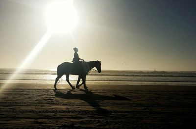 Silhouette woman riding horse at beach against sky