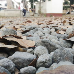 Close-up of stones on rock