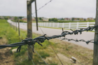 Close-up of barbed wire fence