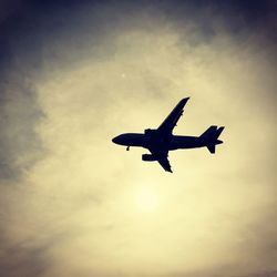 Low angle view of birds flying in sky