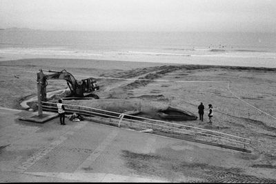 People at beach against sky