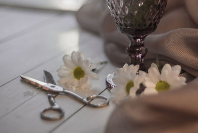 Close-up of white flowers on table