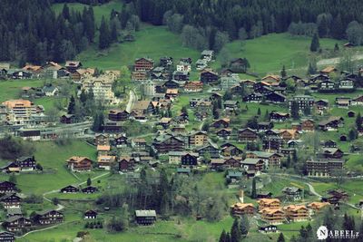 High angle view of agricultural field and houses