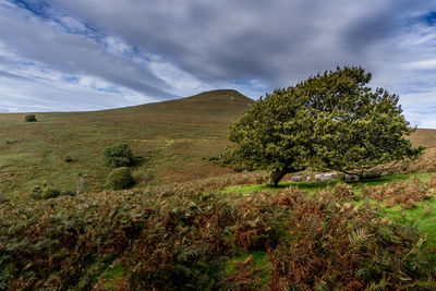 Sugar loaf mountain nr abergavenny