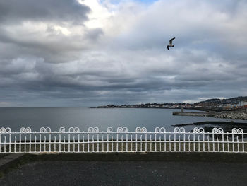 Seagull flying over sea against sky