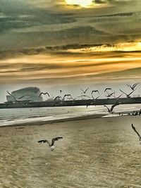 Seagulls flying over sea against sky