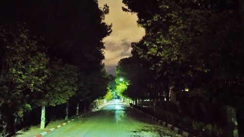 Empty road amidst trees against sky at night