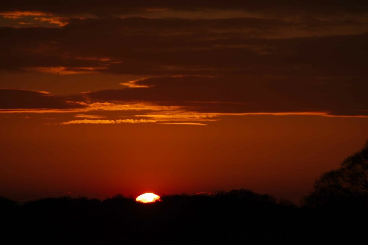 sunset, silhouette, scenics, beauty in nature, tranquil scene, tranquility, sky, orange color, idyllic, nature, sun, tree, cloud - sky, landscape, dramatic sky, majestic, cloud, dark, sunlight, outdoors