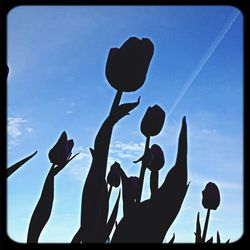 Low angle view of flowers against blue sky