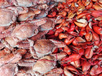 Full frame shot of red chili peppers in market