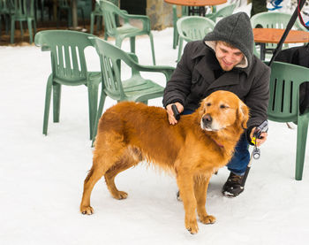 Portrait of dogs on snow