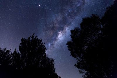 Low angle view of starry sky