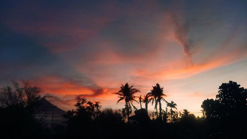 Silhouette trees against sky during sunset