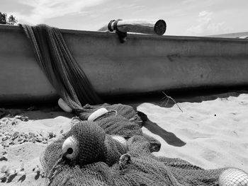 View of crab on beach