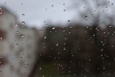 Close-up of water drops on glass