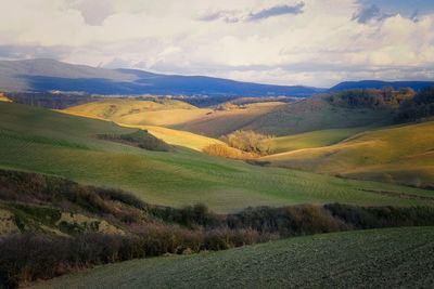 Scenic view of agricultural field against sky
