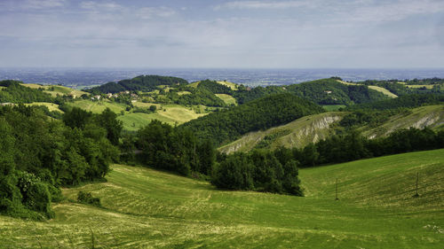 Scenic view of green landscape and sea against sky