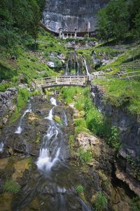 Stream flowing through rocks in forest