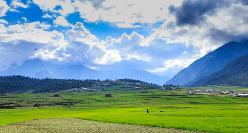 Scenic view of field against cloudy sky