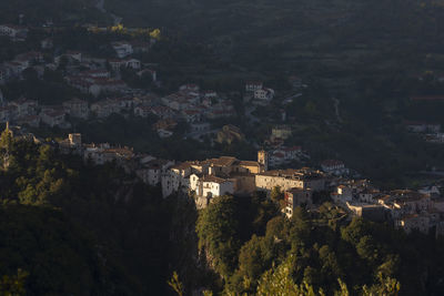 High angle view of townscape and trees in city