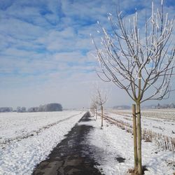 Bare tree on snow covered landscape against sky