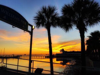 Silhouette palm trees by swimming pool against sky during sunset