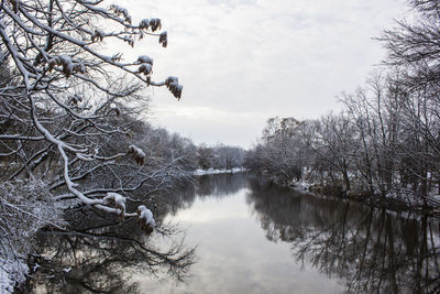 Reflection of bare trees in lake against sky