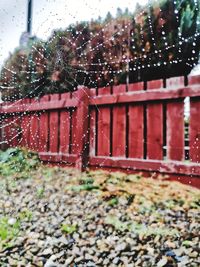 Wet plants by railing during rainy season