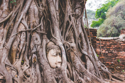 View of buddha statue