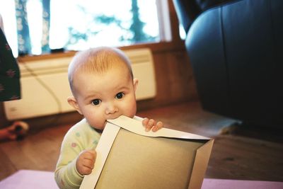 Close-up of baby biting paper at home