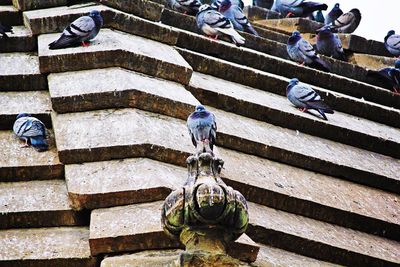 High angle view of people on staircase