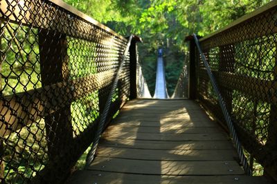 Footbridge amidst trees