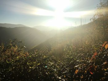 Scenic view of mountain range at sunrise