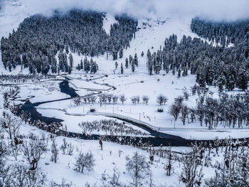 Snow covered land and trees against sky