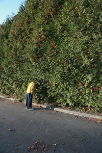 Rear view of woman walking on road by trees