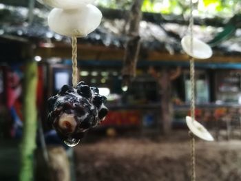 Close-up of white hanging outdoors