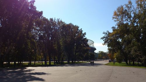 Trees along road