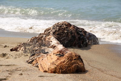 Rocks on shore at beach