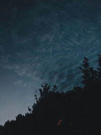 Low angle view of silhouette trees against sky at night