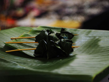 Close-up of leaves in plate on table