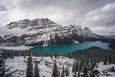 Scenic view of snowcapped mountains against sky