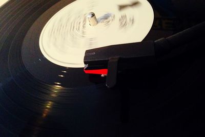 Reflection of trees in water