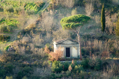 Abandoned house in forest
