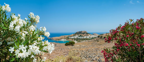 Scenic view of sea against clear blue sky