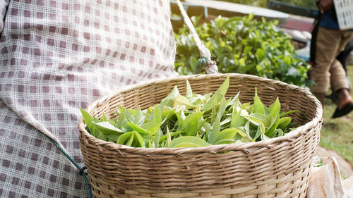 Close-up of vegetables in basket