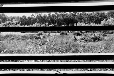 Full frame shot of railroad tracks