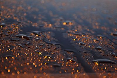 Close-up of water drops on beach