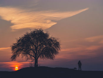 Silhouette of tree at sunset