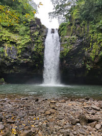 Scenic view of waterfall in forest