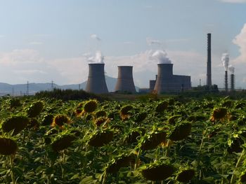 Smoke emitting from factory against sky